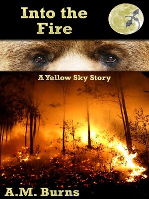 cover image of Into the Fire
